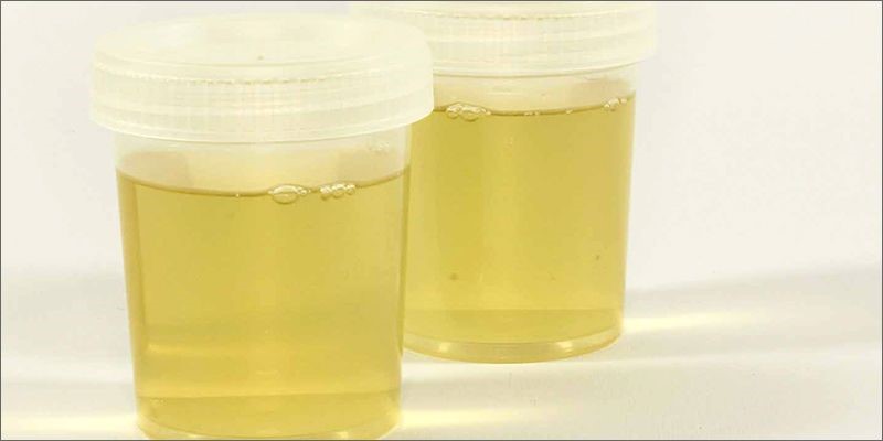 Synthetic Urine Quick 
      Fix Plus Greenbrier Vero Beach FL